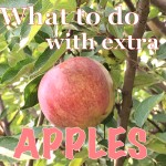 Ideas for Leftover Apples